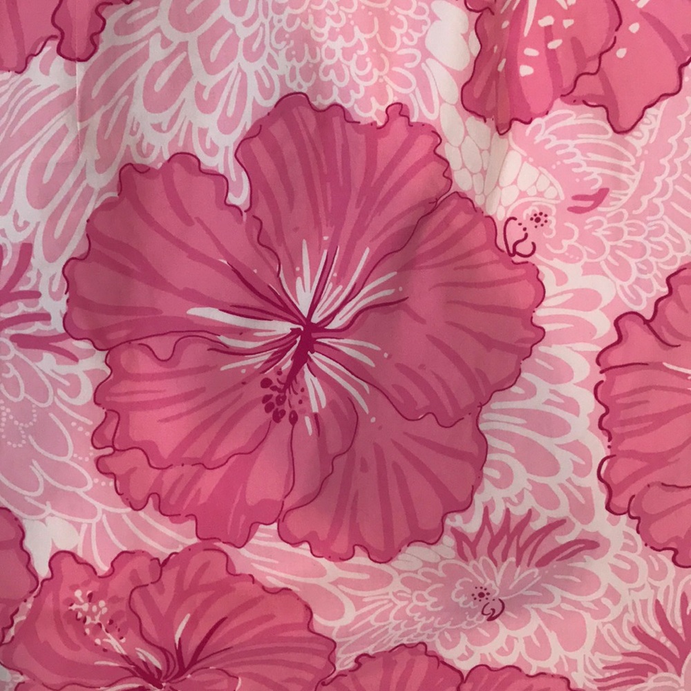 Lilly Pulitzer Dress - Picture 4 of 8
